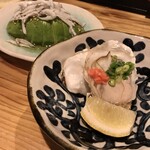 初台 魚ちゃん的實拍圖