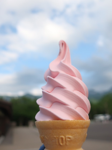 知床五湖レストハウス的實拍高清圖