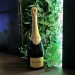 recommendations for mint cafe&pub roppongi