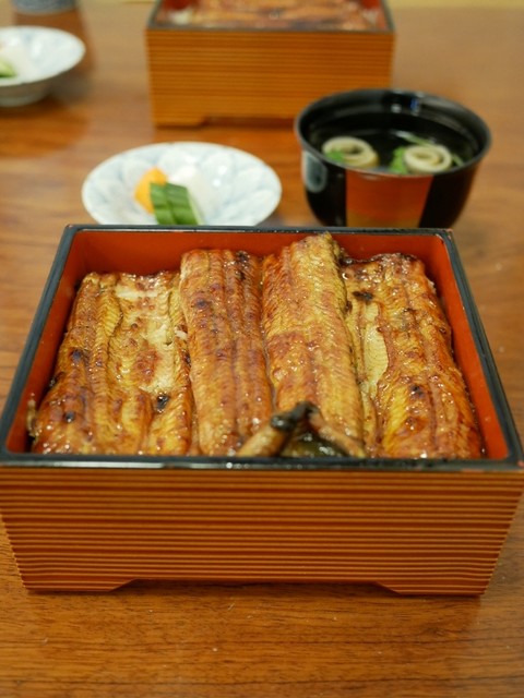 魚政的實拍高清圖