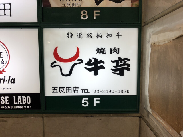 焼肉 牛亭的实拍高清图