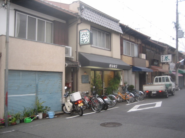 せんなり的实拍高清图