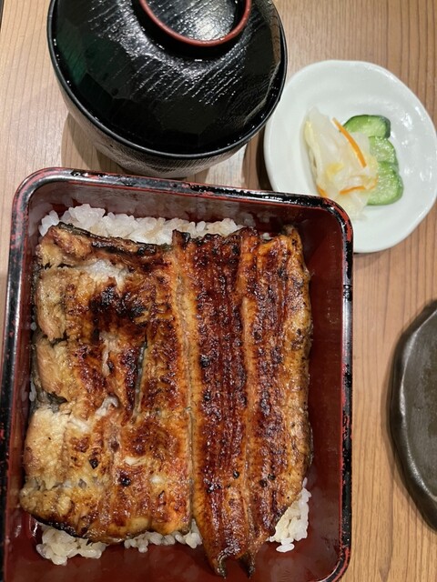 鰻 芳松的實拍高清圖