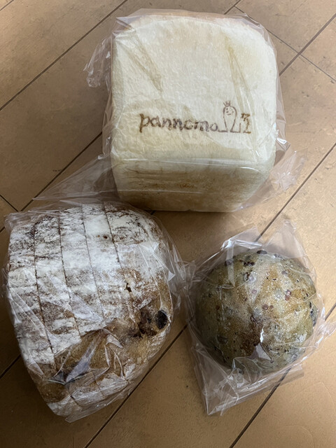 pannoma的实拍高清图