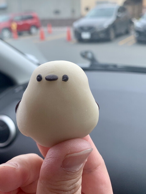 つくし牧田的实拍高清图