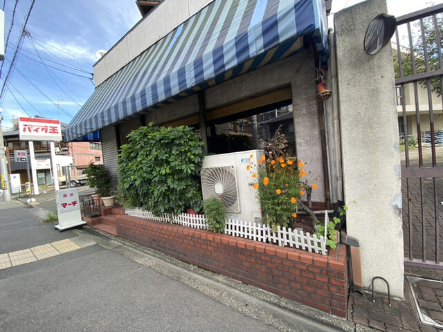 マーチ的实拍高清图