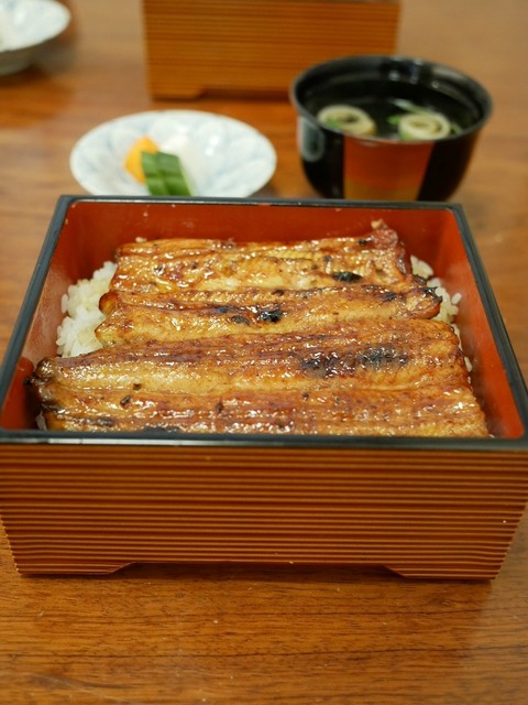 魚政的實拍高清圖