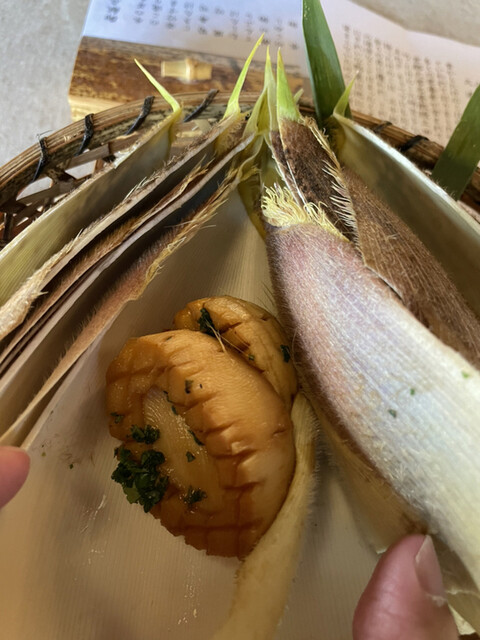 錦水亭的實拍高清圖