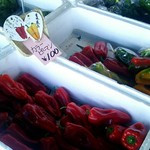 メルヘンの丘 野菜直売所的实拍图