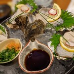 いかの墨 新宿南口店的實拍圖