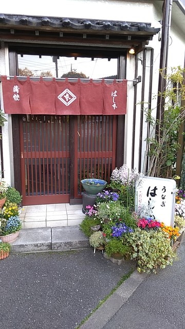 はし本的實拍高清圖
