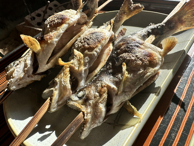細流的實拍高清圖