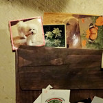 recommendations for レザール