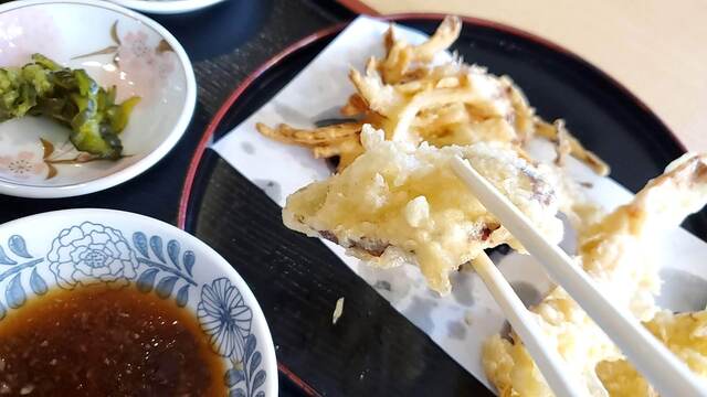 天松的實拍高清圖