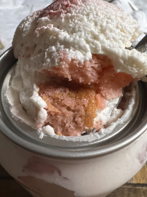 こかげ的实拍高清图