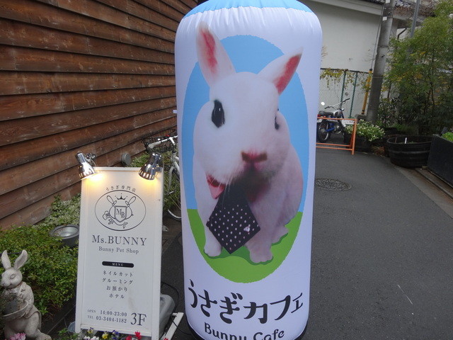 recommendations image for ミス・バニー