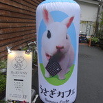 recommendations for ミス・バニー