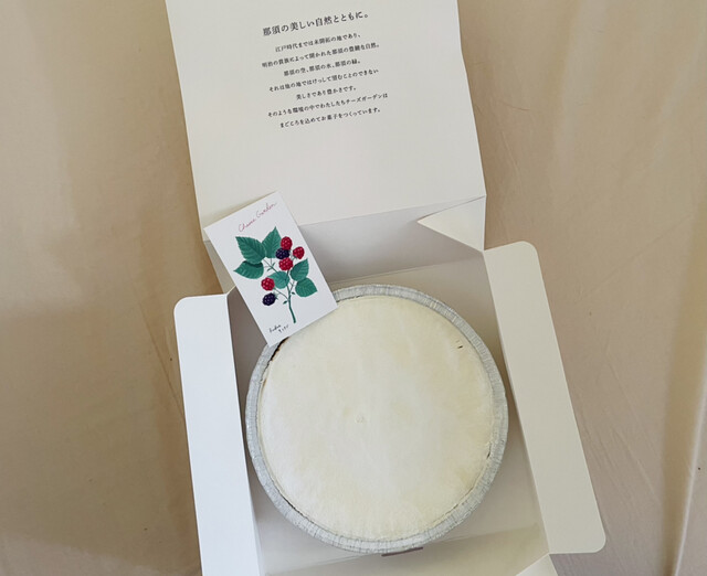 recommendations image for チーズガーデン 阪急うめだ本店