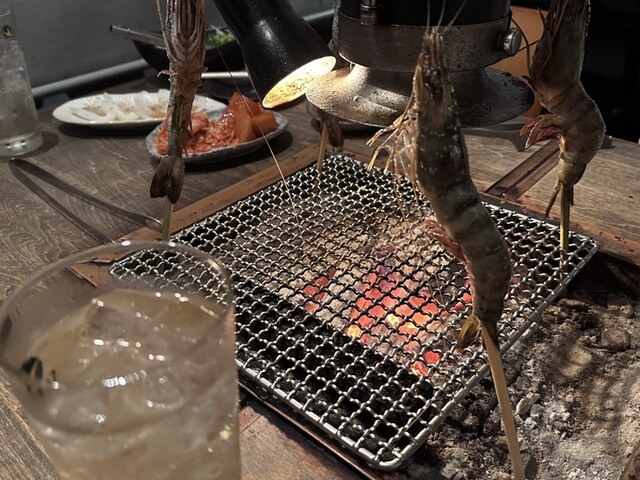 ロバタノカリスマ的實拍高清圖