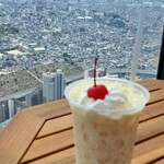 SKY GARDEN 300的實拍圖
