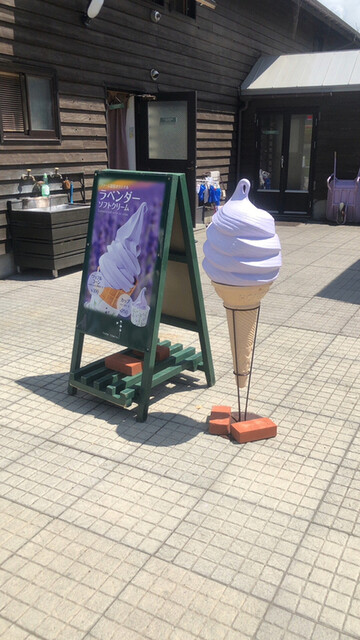 プチルネ的实拍高清图