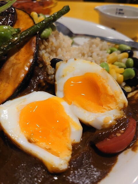 recommendations image for トリコカレー