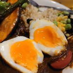 recommendations for トリコカレー