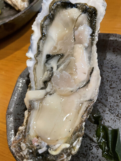 苫小牧新鮮魚市場的實拍高清圖