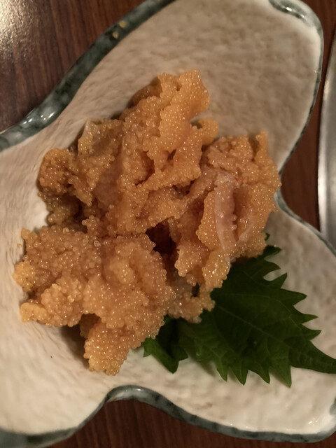 力丸的实拍高清图