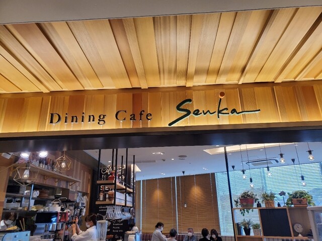 ダイニングカフェSenka 福岡空港店的实拍高清图