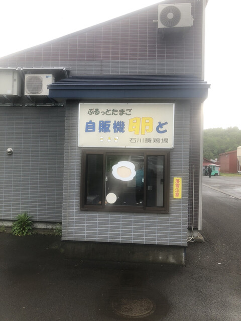 石川養鶏場的实拍高清图