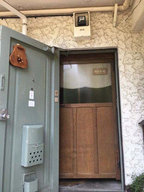 トムネコゴ的實拍高清圖