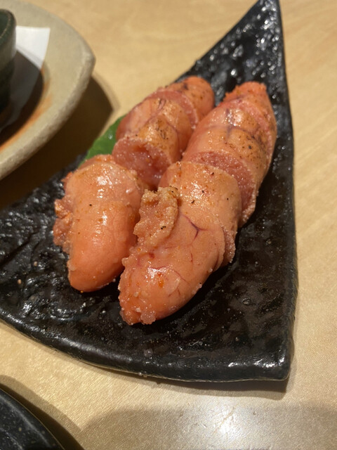 魚場 春夏秋冬的實拍高清圖