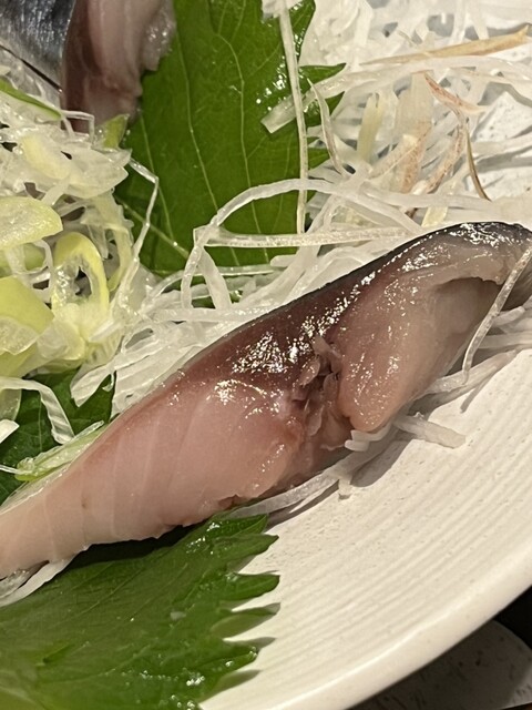 とろさば料理専門店 SABAR 阪急三番街店的实拍高清图