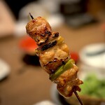 あほう鳥的實拍圖