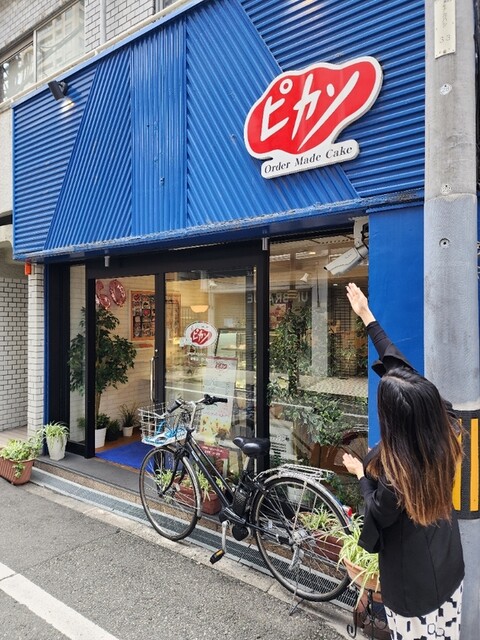ピカソ的實拍高清圖