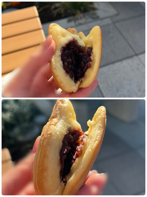 猫間的實拍高清圖