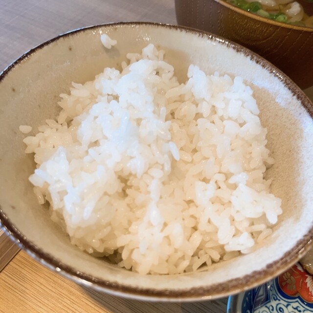 よこぼり食堂的實拍高清圖