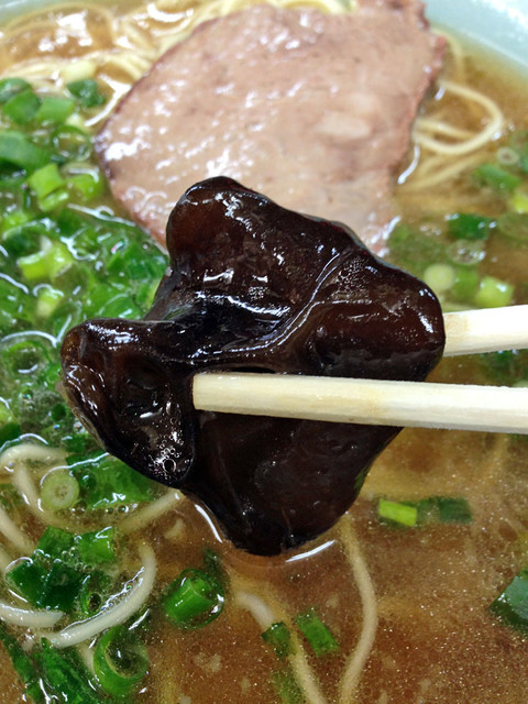 長浜家的實拍高清圖