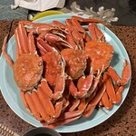 recommendations for かず子
