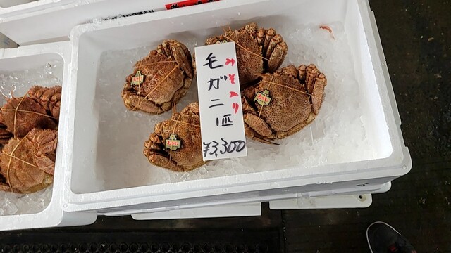 丹野商店的實拍高清圖