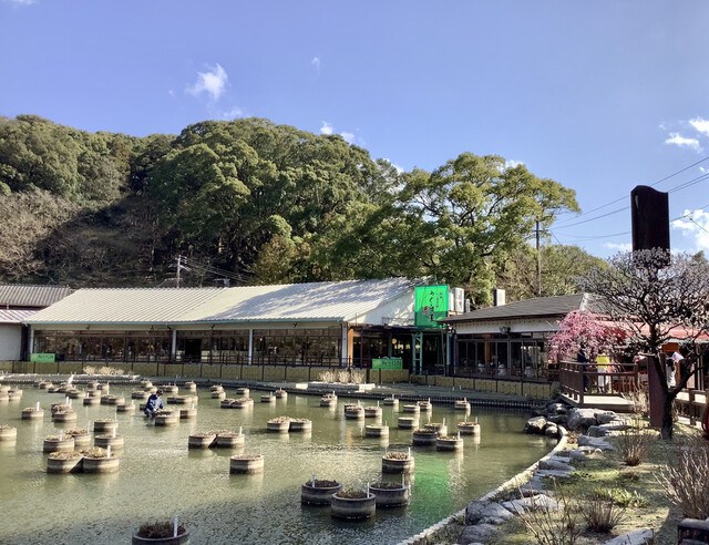 うぐいす茶屋的實拍高清圖