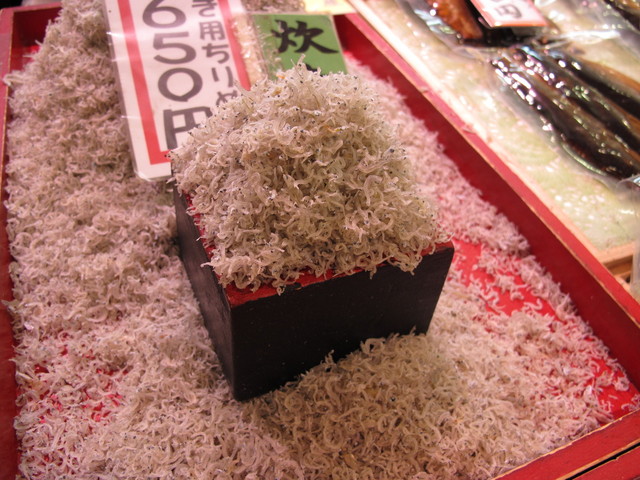 津乃弥的實拍高清圖