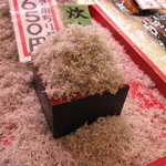 津乃弥的實拍圖