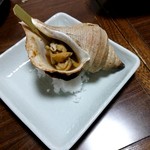 からまつ的实拍图