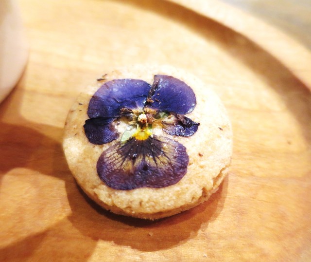 コチト ハナトオカシト的實拍高清圖