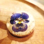 コチト ハナトオカシト的實拍圖