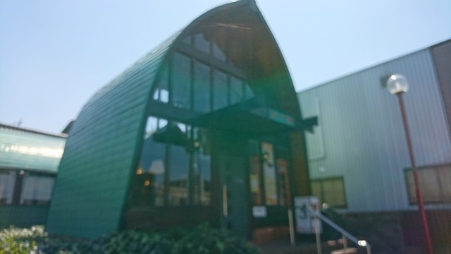 カナダ館的實拍高清圖