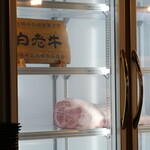 recommendations for ウエムラ・ビヨンド