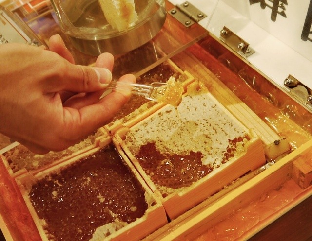 杉養蜂園 登別店的实拍高清图